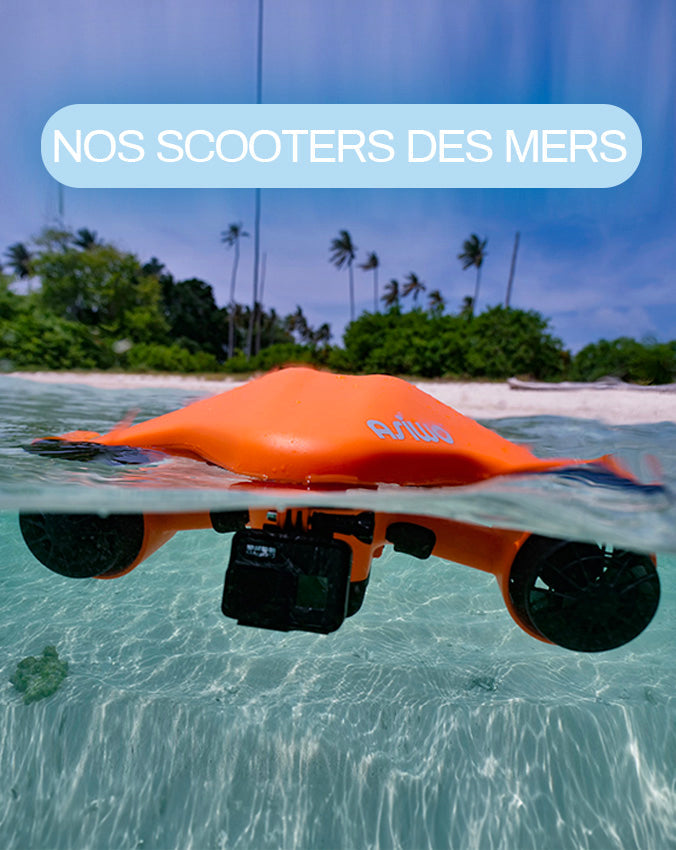 Nos Scooters Des Mers